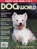 Connecticut dog trainer dog training articles published in several national dog  magazines
